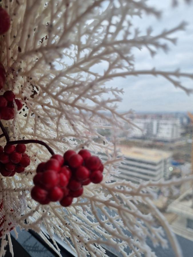 Sky Cloud Apartments Temeşvar Dış mekan fotoğraf
